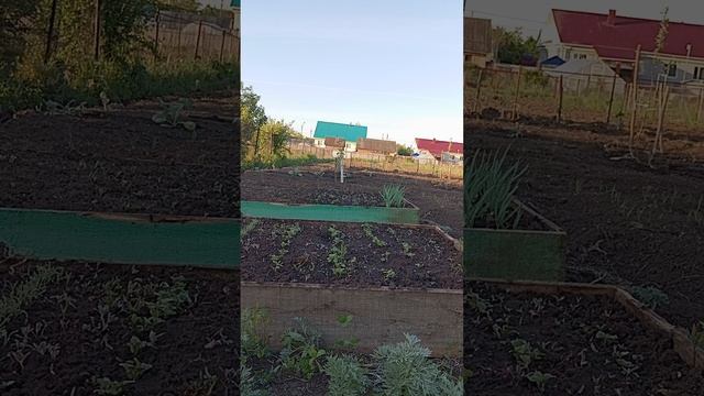 1000101369.mp4