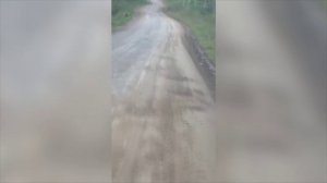 (27.05.2025) В Комсомольском районе водитель автомобиля обнаружил на дороге амурского тигра
