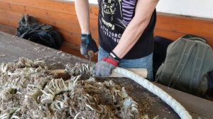 Игорь Лукинов. Два ножа из Ванадис10 с разной крио обаб?