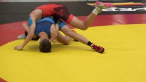 ВОЛЬНАЯ БОРЬБА. 55 кг.Финал чемпионата.