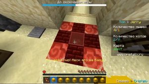 Сервер Cristalix. Мини-игра на Том и Джерри!