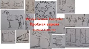 Обзор справочника Гуревича по конному спорту  и коневодству.