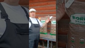 СОБИРАЕМ УРОЖАЙ ЛЕГГОРНОВ! 28.05.2025 год.