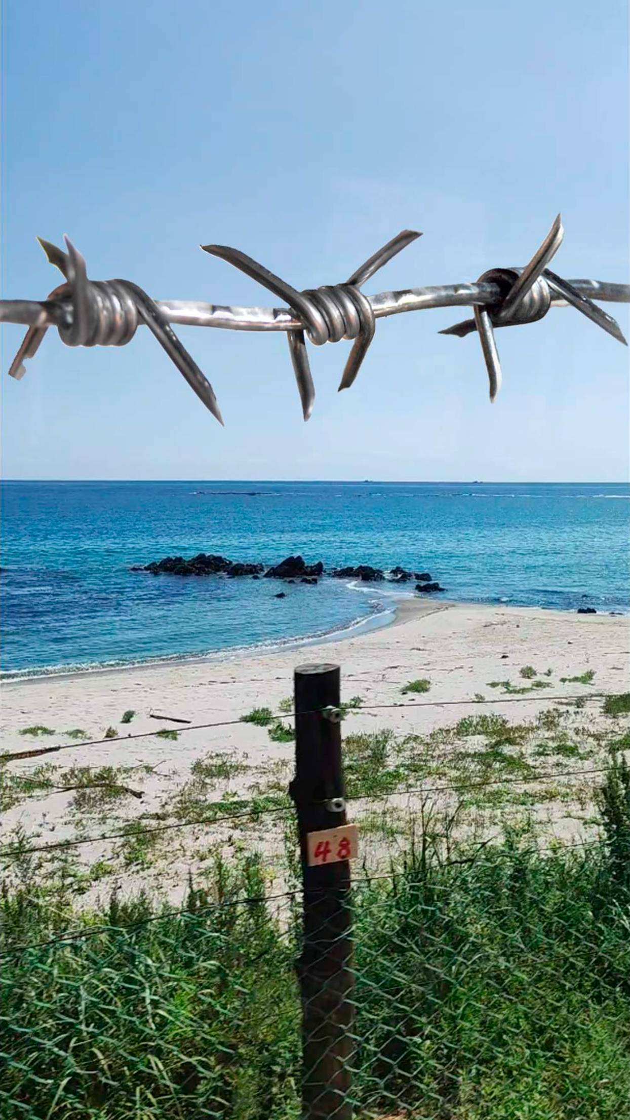 Закрытое Море КНДР. Можно ли купаться на морских пляжах Северной Кореи и есть ли там запреты#shorts