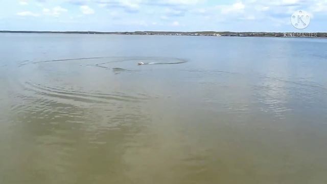 Мы приехали на пляж пускать катер смотреть онлайн