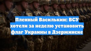 Пленный Василькин: ВСУ хотели за неделю установить флаг Украины в Дзержинске