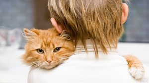 ПОЧЕМУ ЛЮДИ ЛЮБЯТ КОШЕК?