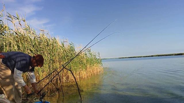 Нарешті через три дні- КАНОЕ
