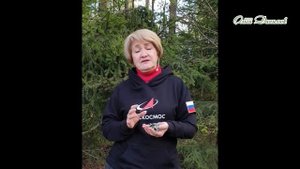 ПАРМЕЛИЯ – чудо-лишайник