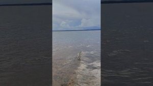 теплоход Тимирязев на мели