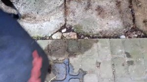 Выпуск 76: Садовый пылесос, уборка листьев и хвойного о?