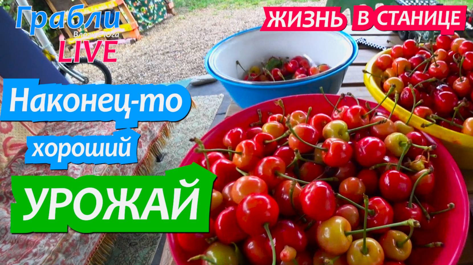 917 серия 27.05.25  Спилили урожай. Где купить уток?  Жизнь в своем доме на Юге  станица Динская