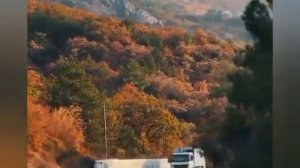 Моя Россия -- сл. и муз. Ярослава Дронова (Шаман).