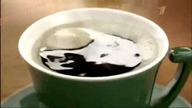 Реклама Якобс Монарх 2014 - Богатый вкус. Знаменитый аро? смотреть онлайн