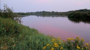 Как мечтаю вернуться скорее и коснуться рукою воды / Печора /.