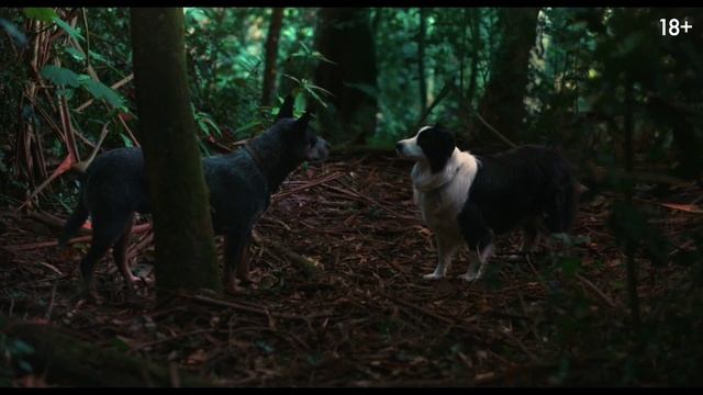 Одно целое — Русский трейлер #2 (Дубляж, 2025)