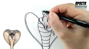 Как нарисовать КОБРУ