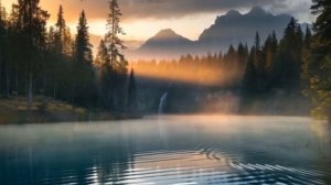 Практика "Мамина любовь"