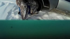 Ловля осторожного окуня на мелкую мормышку.