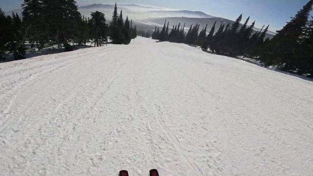 Шерегеш, сектор F, Панорама/ Sheregesh, Sector 