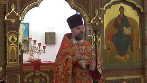 Обращение с пастырским словом протоиерея Димитрия Синицына в день Отдания праздника Пасхи