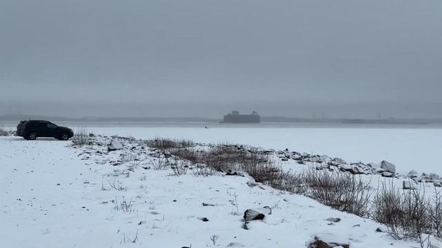 Финский залив февраль 2025 смотреть онлайн