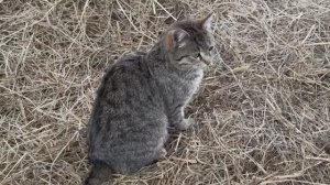 У нас обновки. Купили столы из натурального камня. Подготавливаем зону отдыха. Жизнь простых людей.