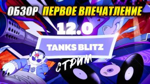Обзор и первое впечатление обновления 12.0 Tanks Blitz | Танки Блиц