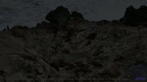 Песня, которая звучит громче, когда вы теряетесь вместе - Deny -- Double-F the King -- Discovery