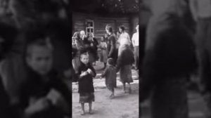 Звезды