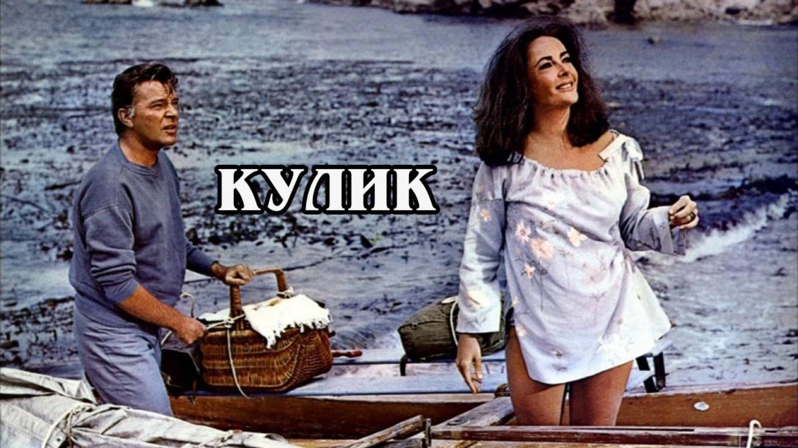 Кулик 1965