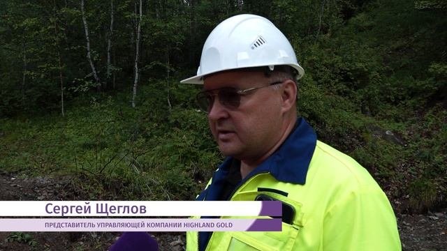 Чёрные копатели снова взялись за кирки