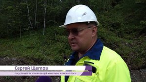 Чёрные копатели снова взялись за кирки