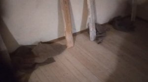 Сезон 2024. 31.08. Натяжные потолки из мешковины...