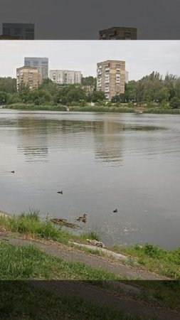 По набережной Донецка