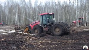 Корчевание 20-тью тракторами К-742М "Кировец". Они превра?