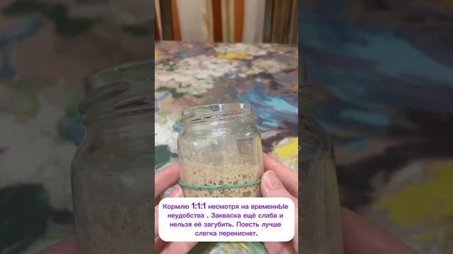 Эксперимент по интуитивному оживлению засушенной ржа