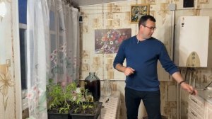 Супер рецепт кваса из концентрата