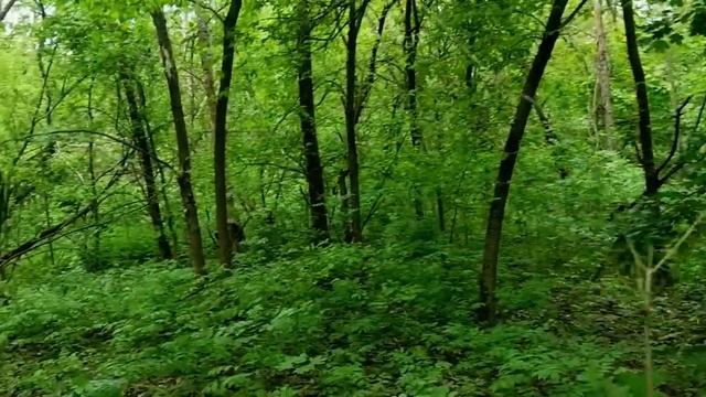 кушаем вкусный суп на кухне в квартире смотреть онлайн