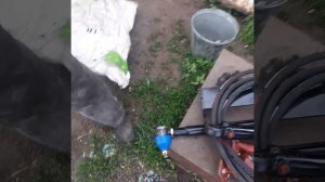 комплект дозатор мтз-82 старого образца