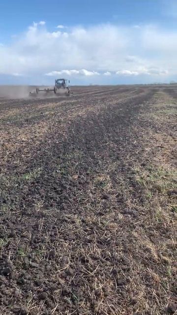 Ужас. Обзор ХТА-250 Дисковая борона с пружинными стойка? смотреть онлайн