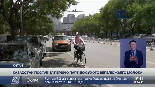 Первая партия казахстанского сухого верблюжьего моло смотреть онлайн