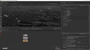 3. Denoise the Plate