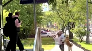 Женщина идет за руку с собакой по Москве