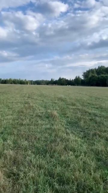 #fermereve #Коломна #Природа #Красивыеживотные #Крутойресторан #shorts  Александр Маркьянов