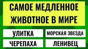 Ты входишь в 7% тех, кто знает это.  Интересные тесты на эрудицию