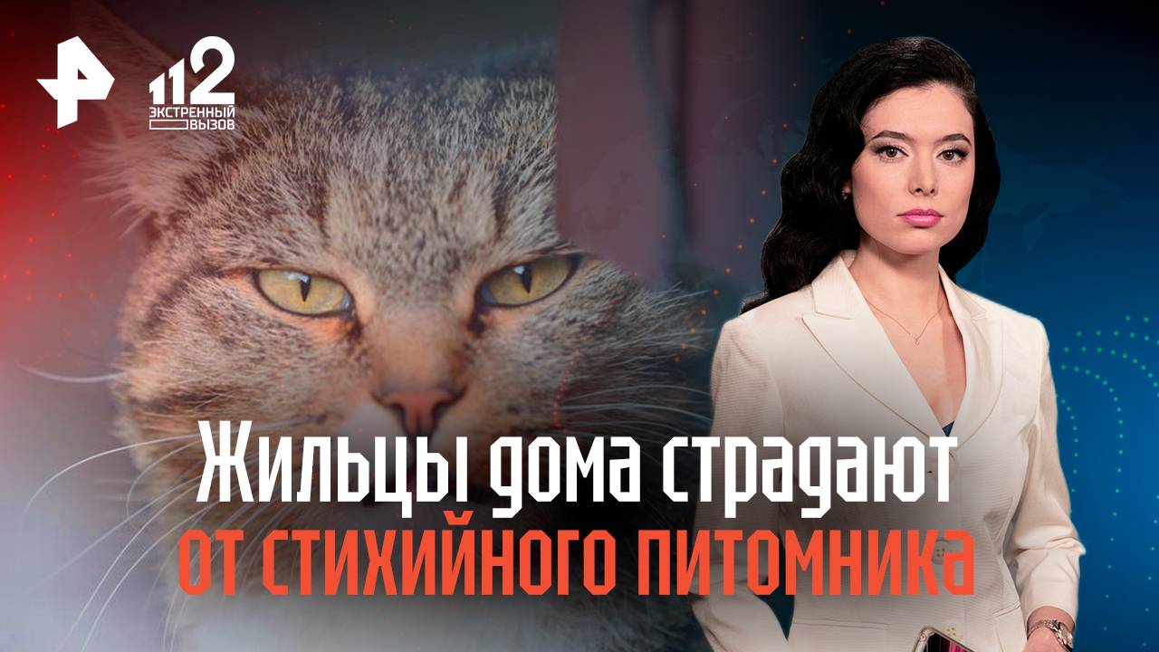 Жильцы многоквартирного дома страдают от стихийного питомника