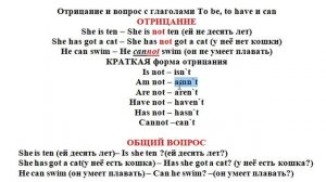 общий вопрос и отрицание с to be have can