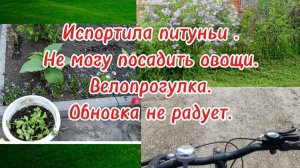 28-05-2025Испортила питуньи.Велопрогулка.Покупка не радует. Не могу посадить овощи.