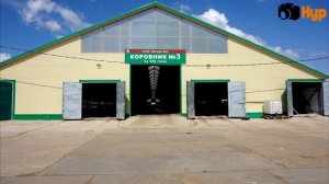 Производитель молока в Татарстане